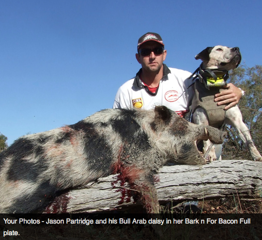 Screen Shot 2013-10-02 at 1.34.20 PM